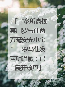 “多所高校禁用罗马仕两万毫安充电宝”，罗马仕发声明道歉：已展开核查
